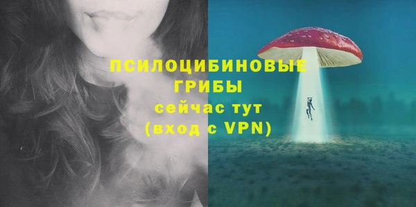 прущие грибы Алексеевка