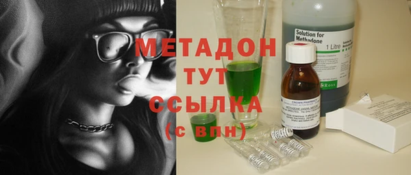 прущие грибы Алексеевка