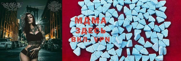 прущие грибы Алексеевка