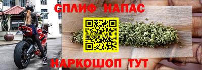 СК Краснознаменск