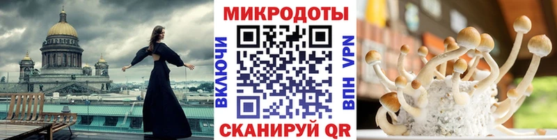Галлюциногенные грибы Magic Shrooms  Джанкой 