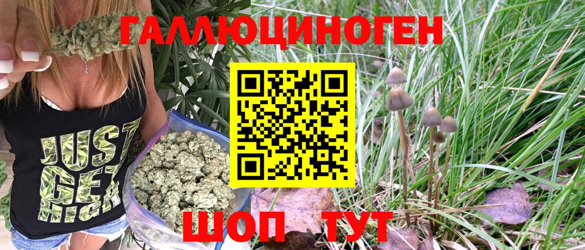 Галлюциногенные грибы MAGIC MUSHROOMS Джанкой